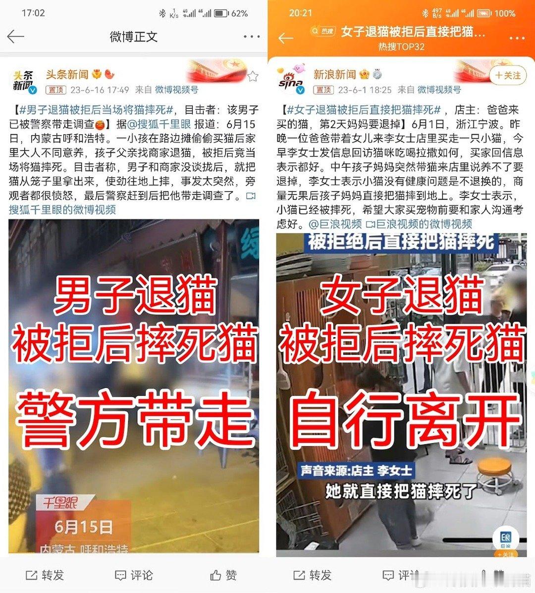 胡锡进建议给虐猫者重开机会每次看到这种新闻，我都会感慨，中国小“动物”保护法还得