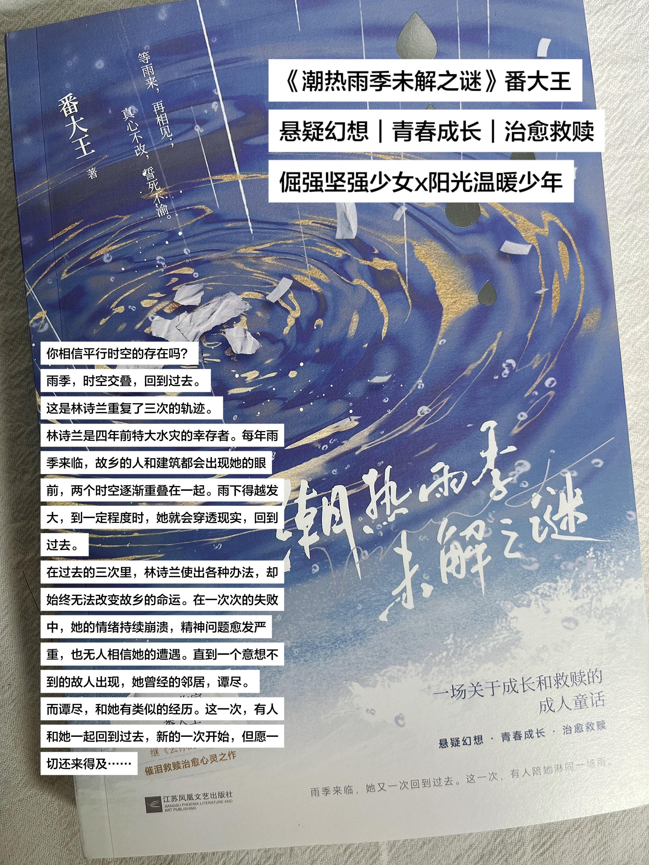 《潮热雨季未解之谜》番大王 悬疑幻想｜青春成长｜治愈救赎 倔强坚强少女...
