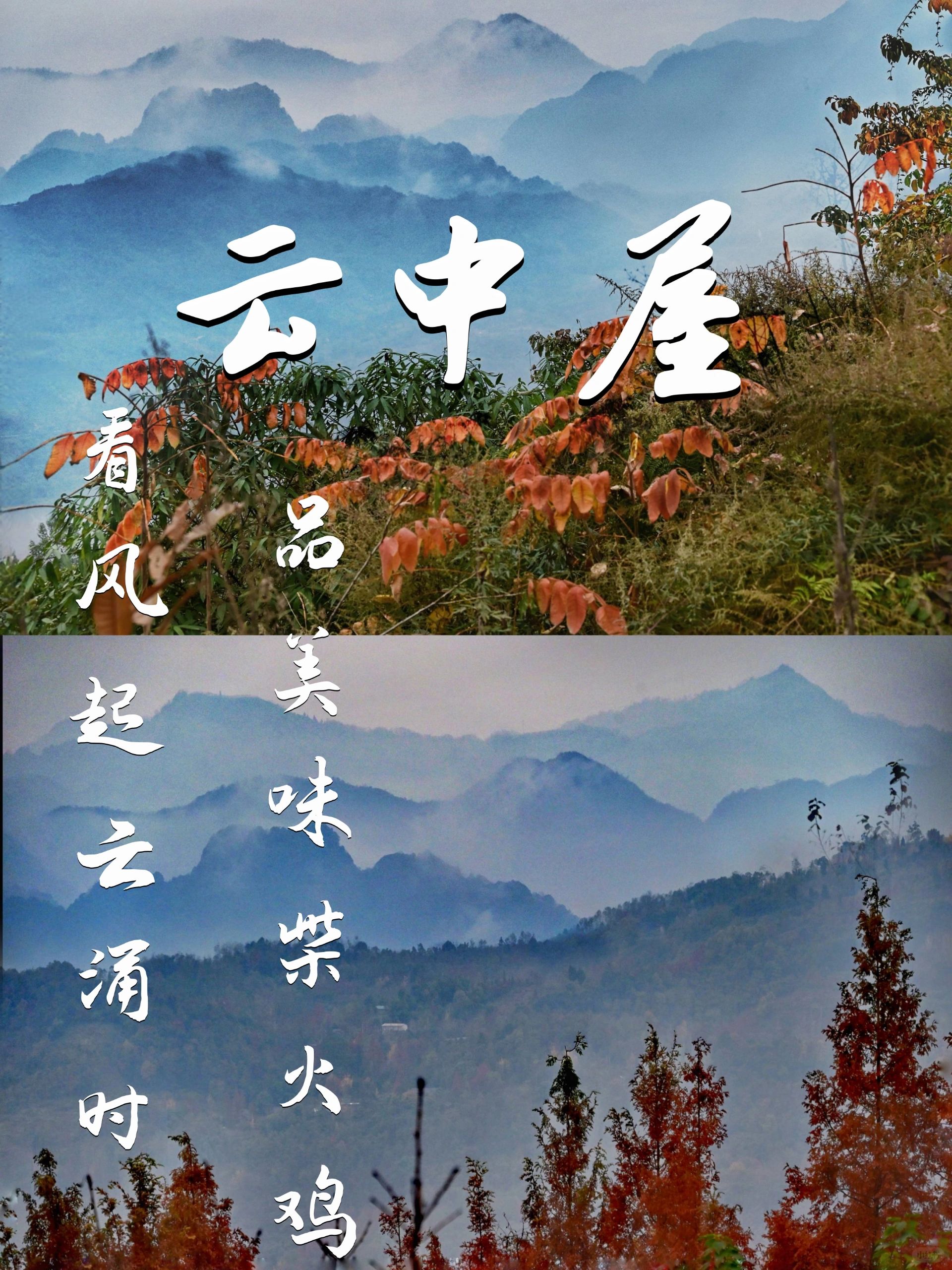 云中屋｜周末可以去的小众吸氧地