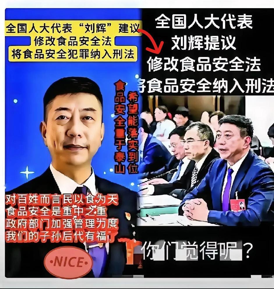 全国人大代表刘辉提议

将食品安全入刑引热议：不止于死刑，如何让违法者“赔不起”