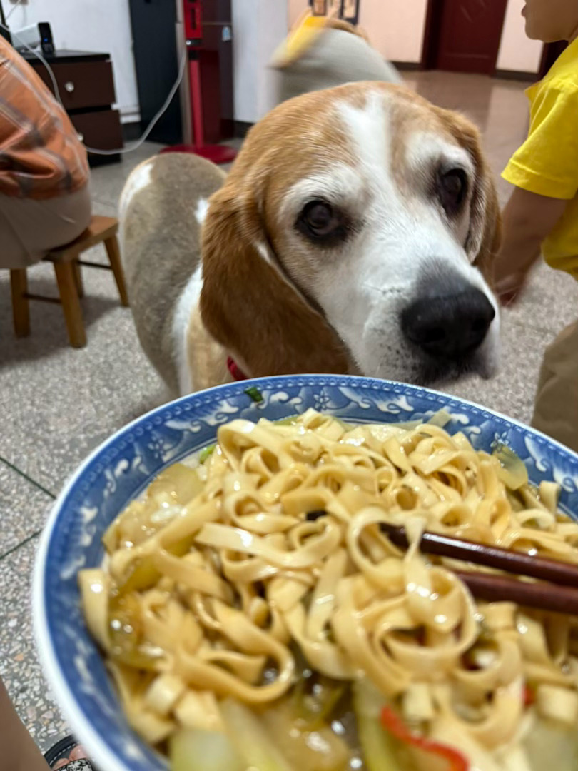 天下武功 唯快不破