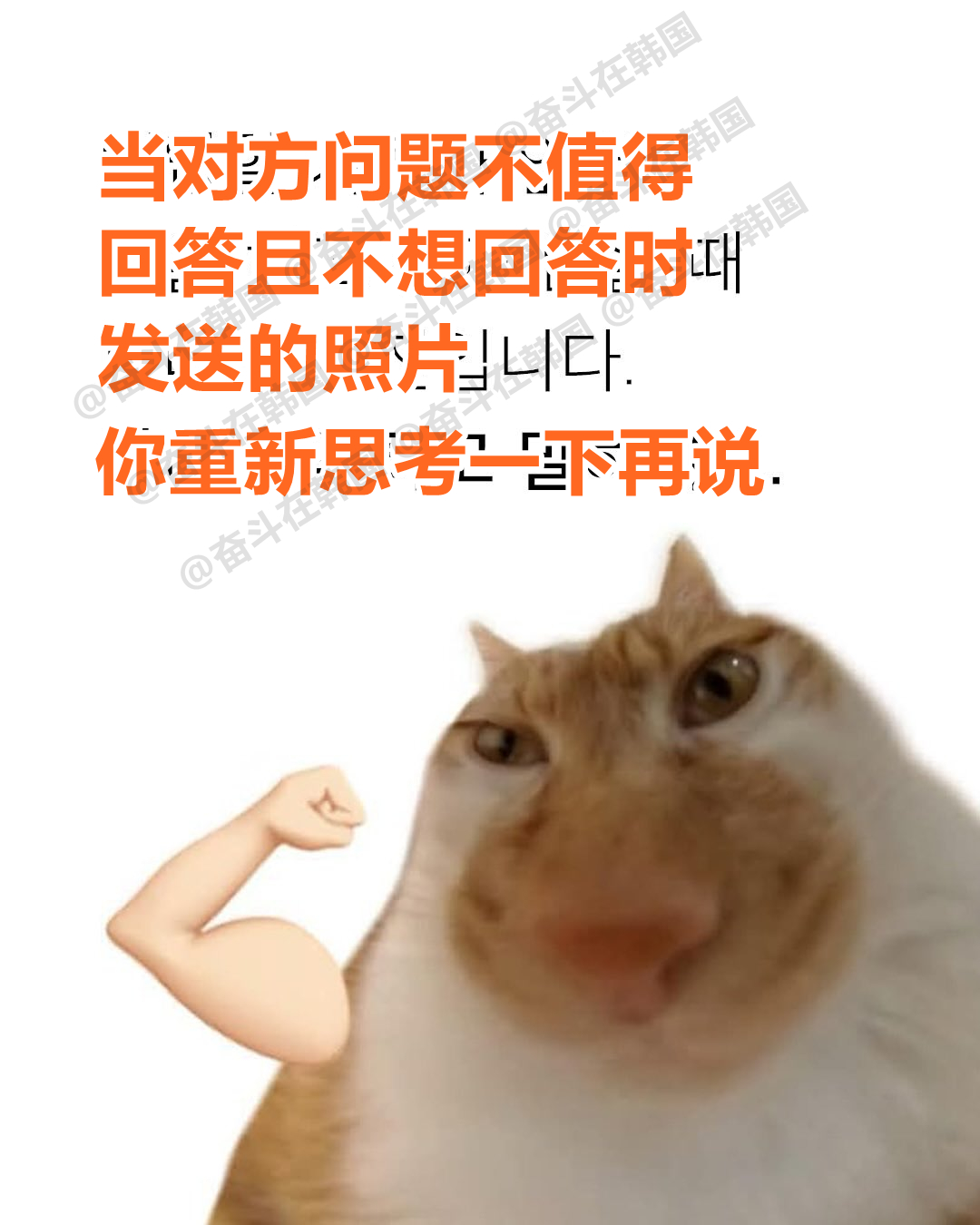 当对方问题不值得回答且不想回答时发送的照片 海外新鲜事 热点现场 ​​​