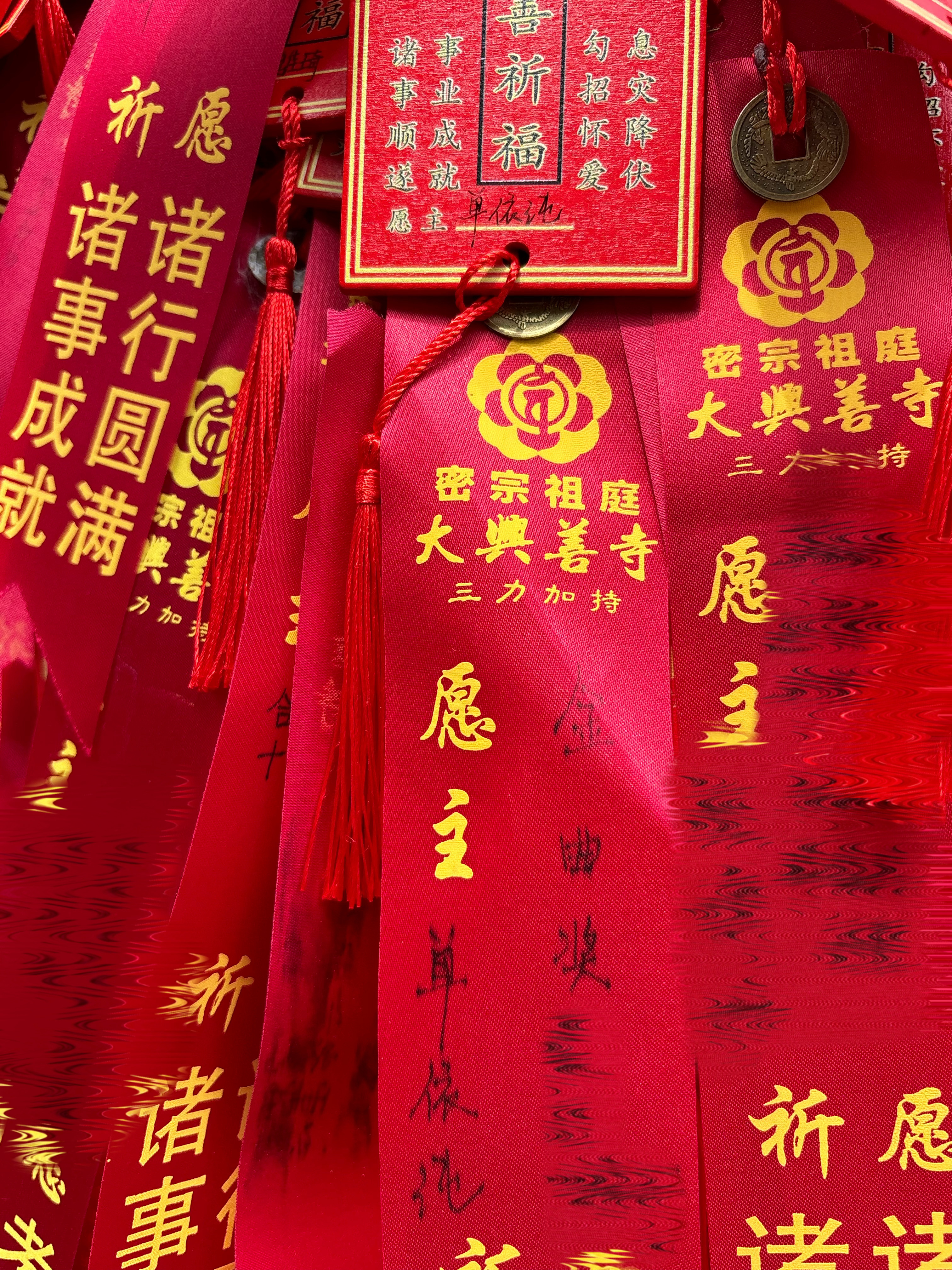 依旧美好祝愿 