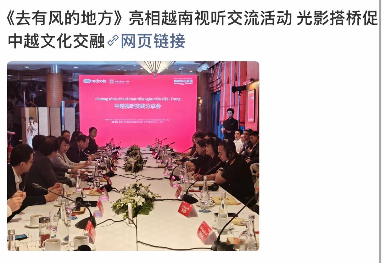 虽然但是这貌似是刘诗诗的越南交流活动