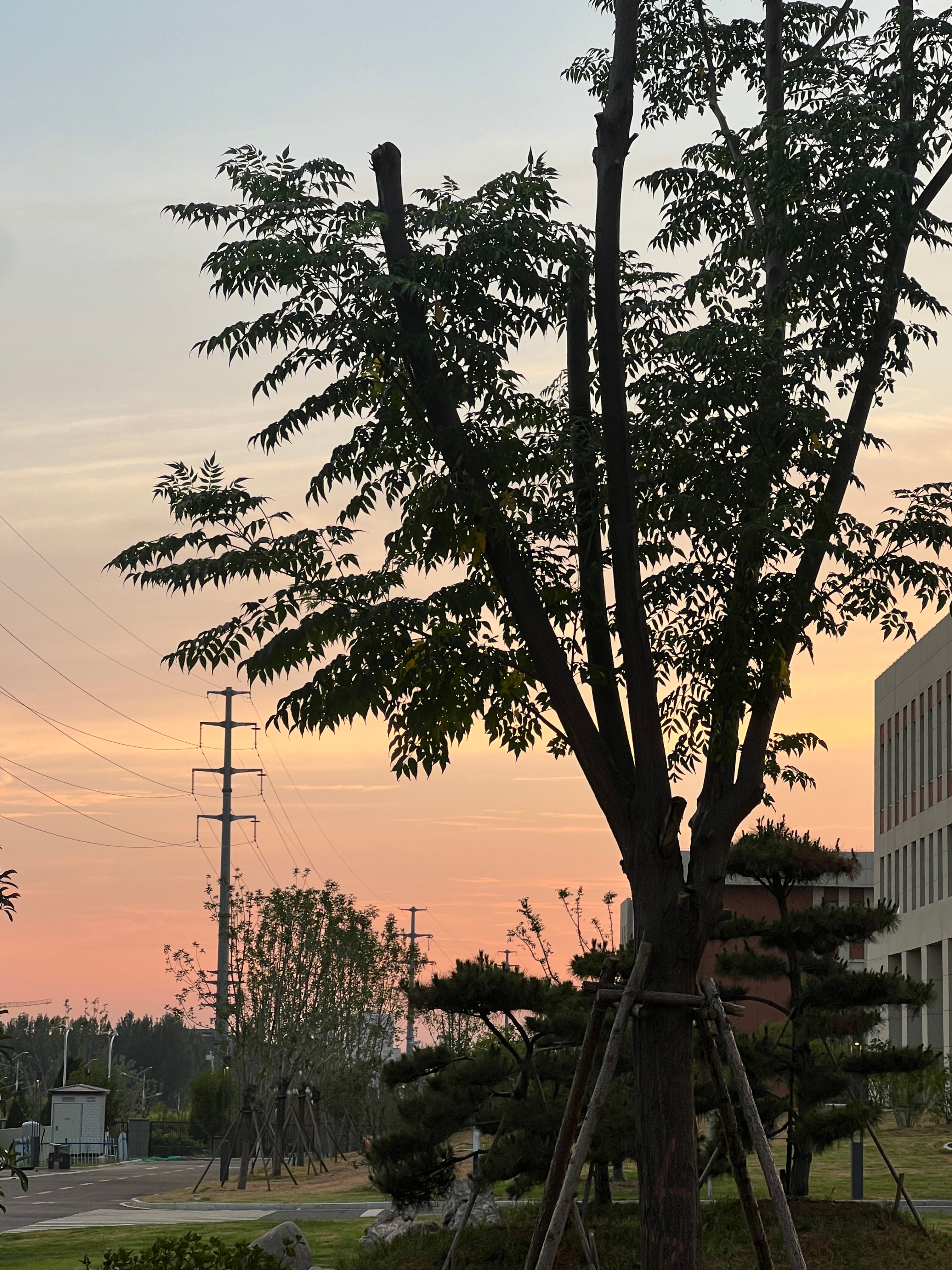 🌆今天这里的夕阳像最前面的表情 