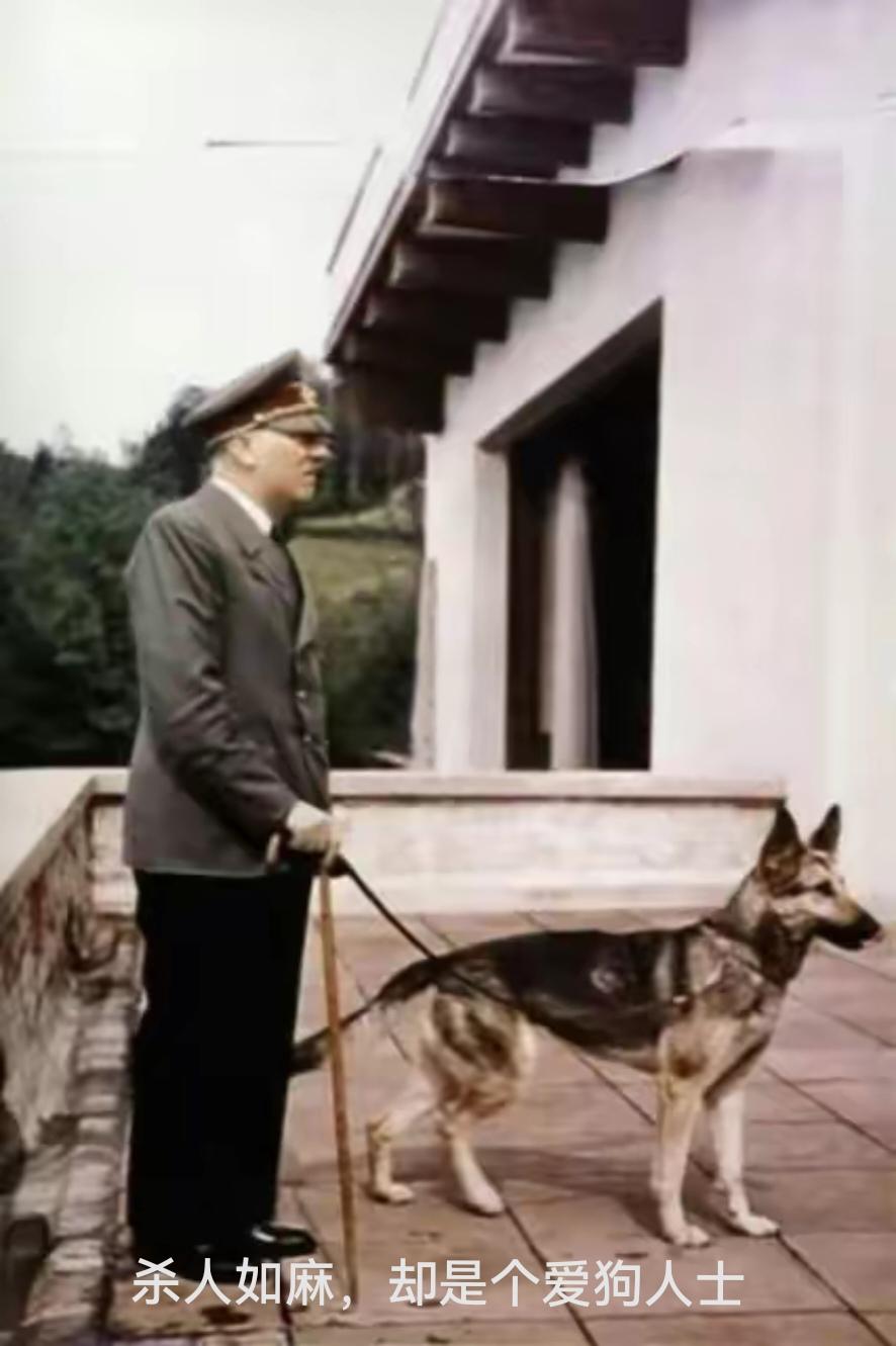 这个人也爱养狗，他善良吗？