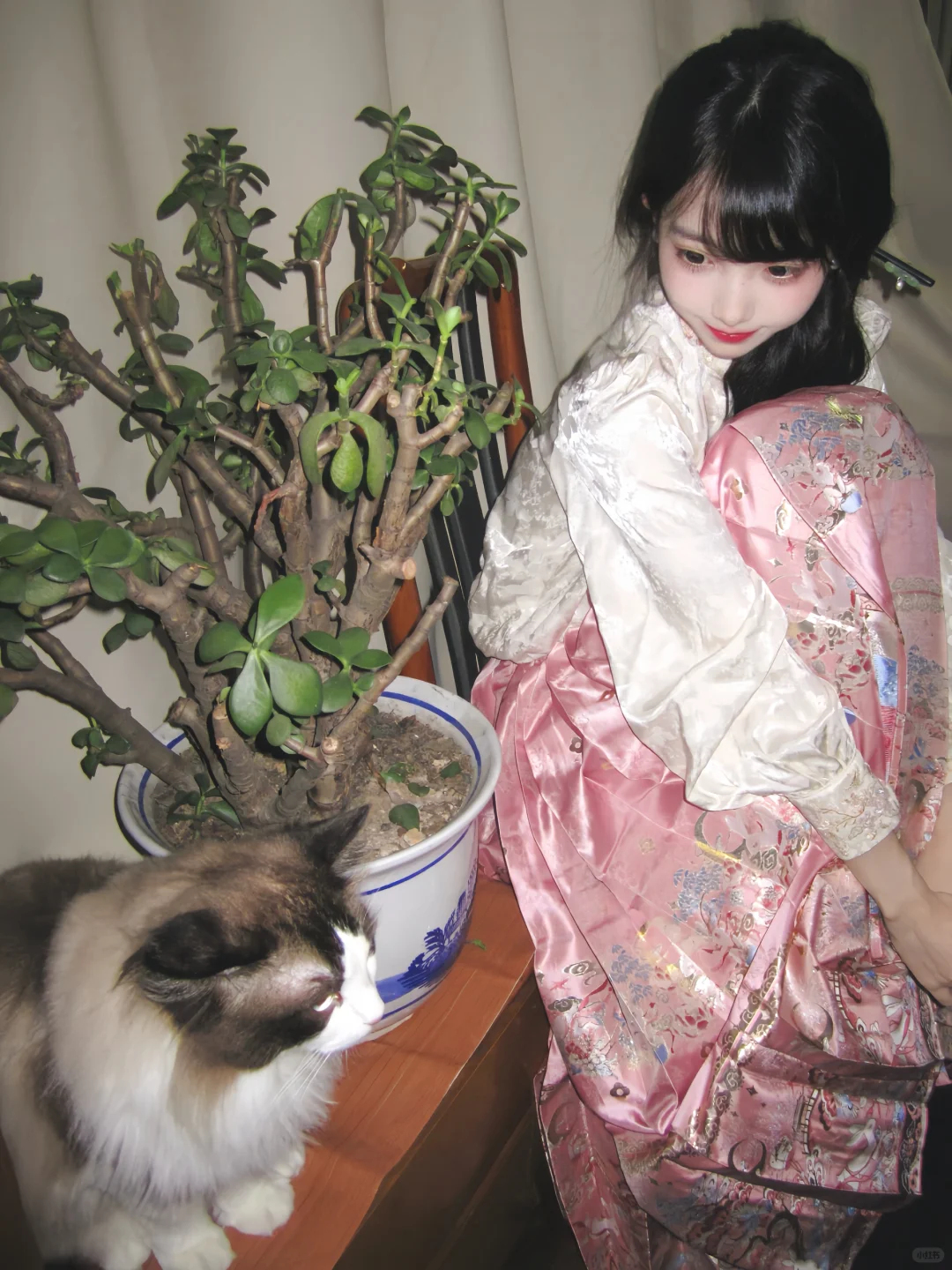 歪 🐈 ᶻ 𝘇  🐾₊⁺