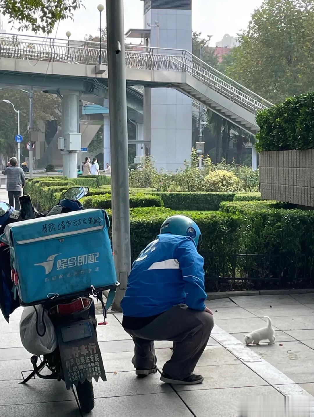 上班路上遇到了暖心一幕！上班路上遇到了好暖心的一幕，一位外卖员正在用自己吃的馒头