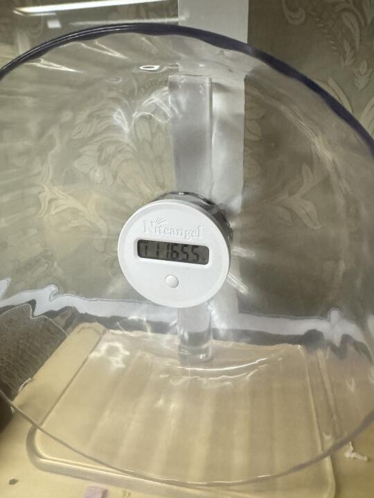 快两岁的小仓鼠，昨晚跑了一万多圈