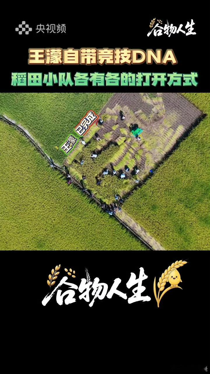 王濛从没打过这么久的仗 从冰场速滑冠军到综艺选手，竞技模式完全转变，漫长赛程不断