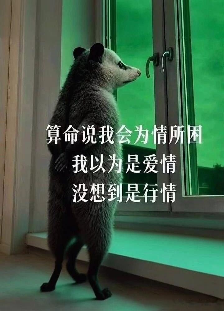 听说最近很火，我也发一个试试[灵光一闪]