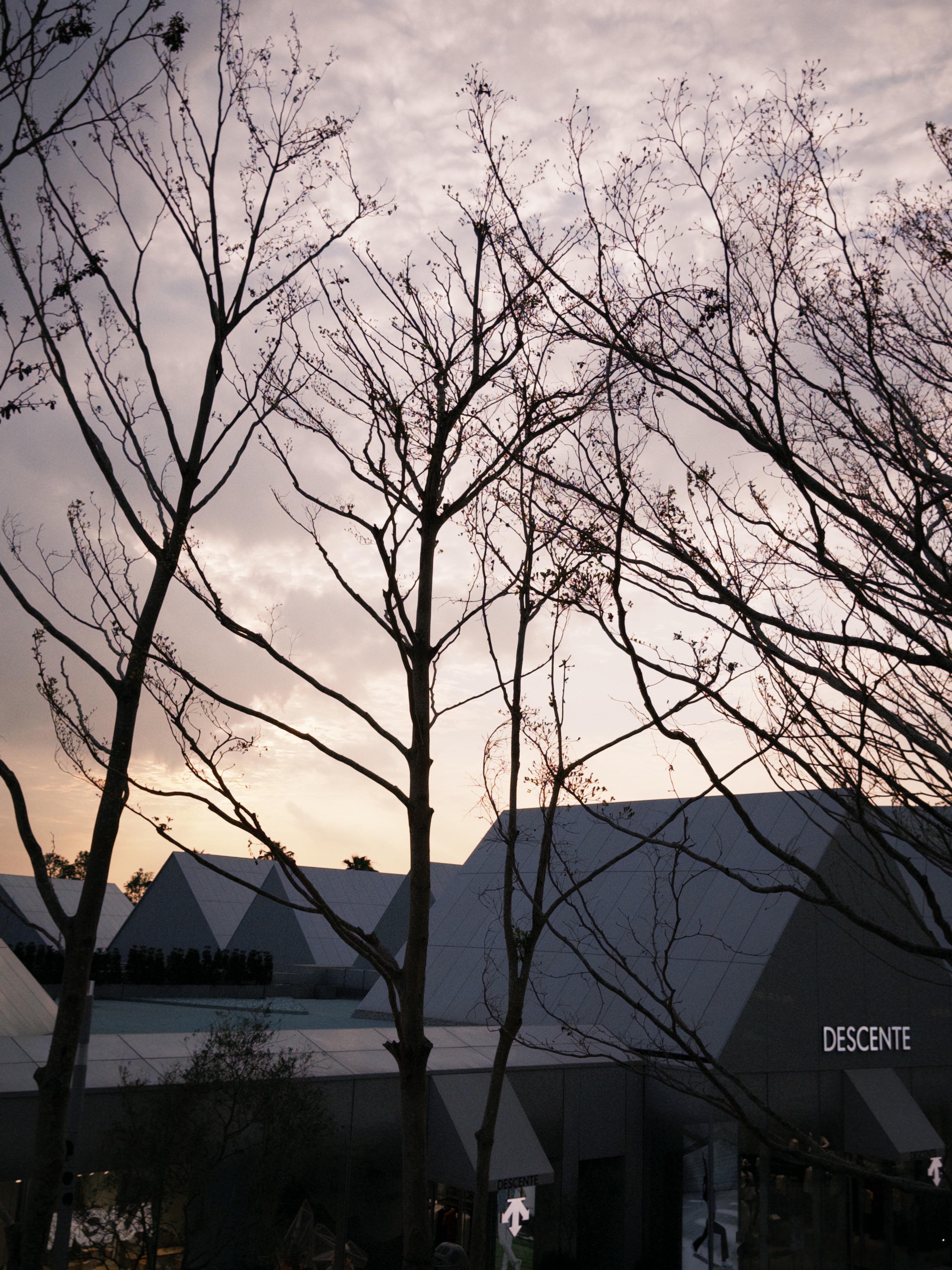 不当爸都不知道原来是真的会期盼开学最近一个月每天都要想着明天去哪溜娃 东莞·万象