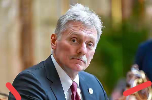 俄罗斯传来最新消息！

俄罗斯总统新闻秘书佩斯科夫12月2日表示，俄总统普京与美