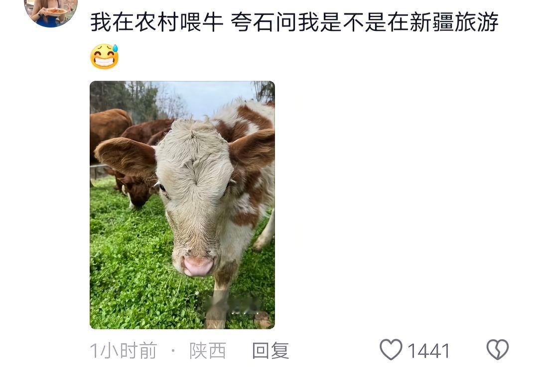 我在农村喂牛crush以为我在新疆旅游 我在农村喂牛crush以为我在新疆旅游[