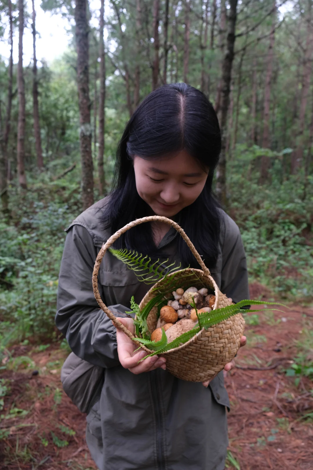 拾菌记7.11 | 美国姐妹捡了一篮子牛肝菌