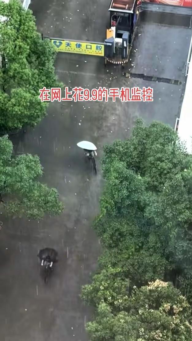 在网上花9.9买了个时髦的手机