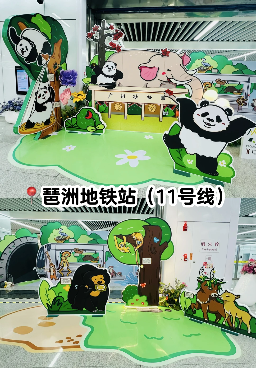 谁懂啊！在琶洲站偶遇广州动物园🤨