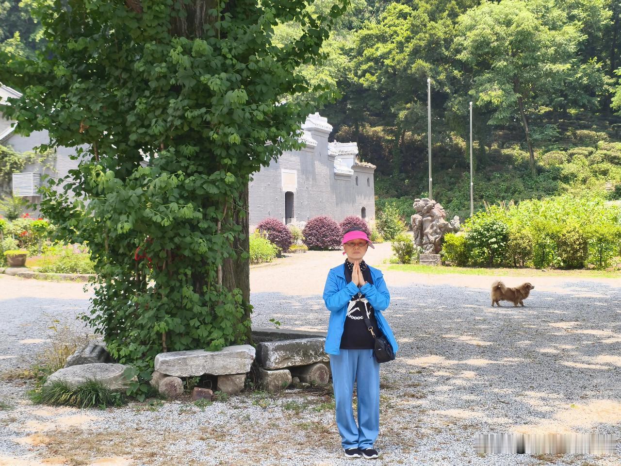 皈依佛门的人更喜爱去深山老庙，寺庙本是清静修行之处。可有些市区寺庙早已成了网红打