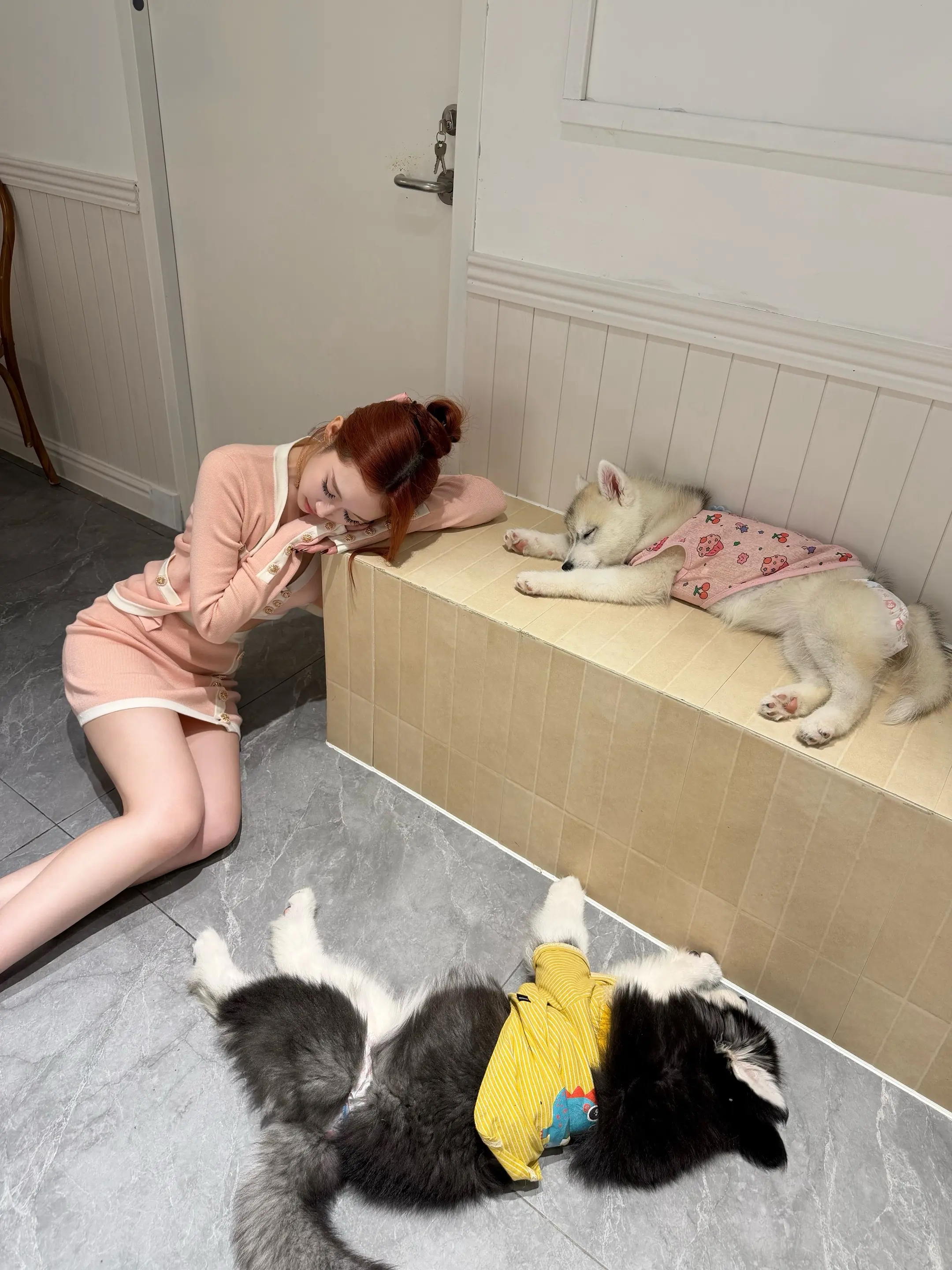 实属萌物啊萌物🐾。