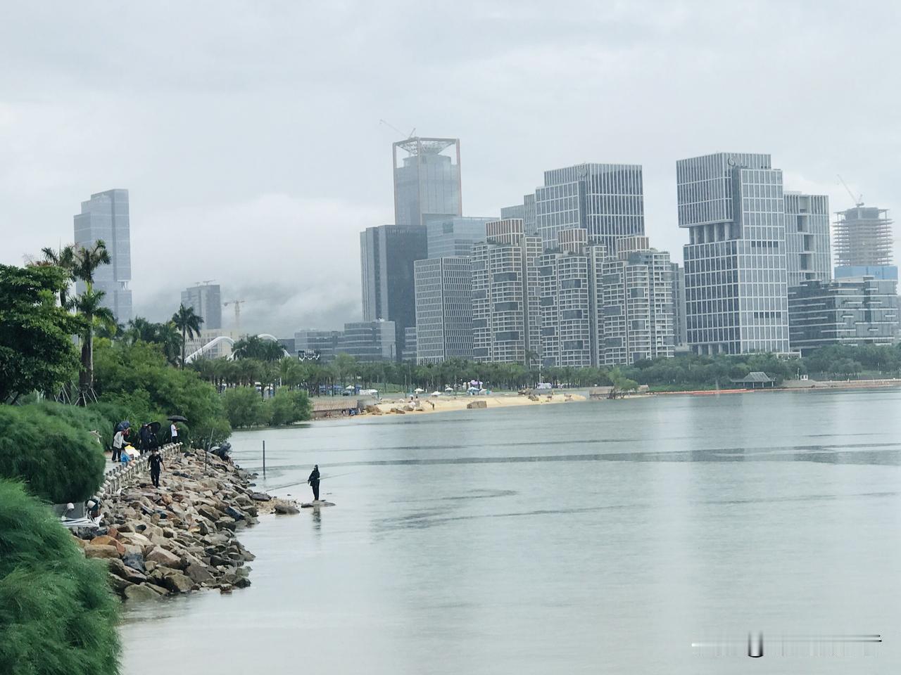 深圳上千个公园，我最常去的是欢乐港湾那一带，没错，就是十五全运会火炬传递的终点附