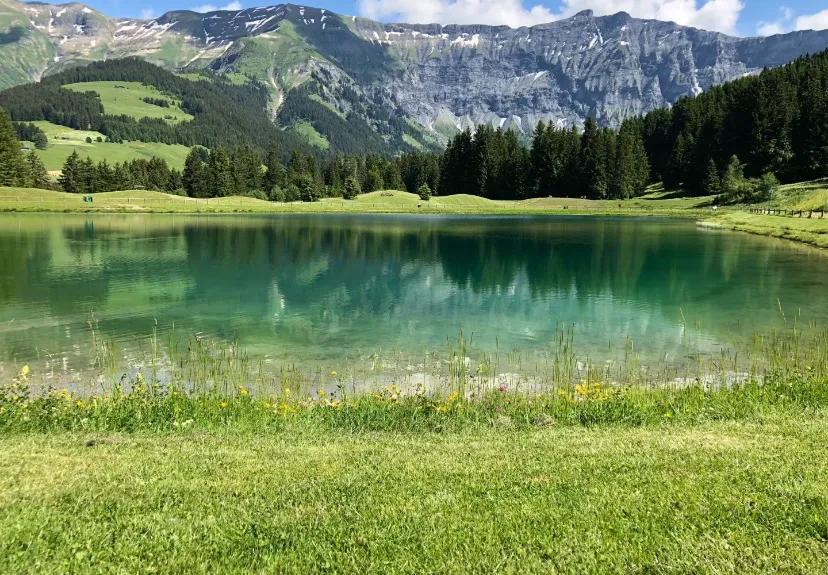 晕动车有什么解决办法?
以前有高铁就选商务座，今天浙江回广东，昨天紧急订票，只有