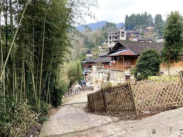 不知道大伙发现没，这些年村里那些满山跑的