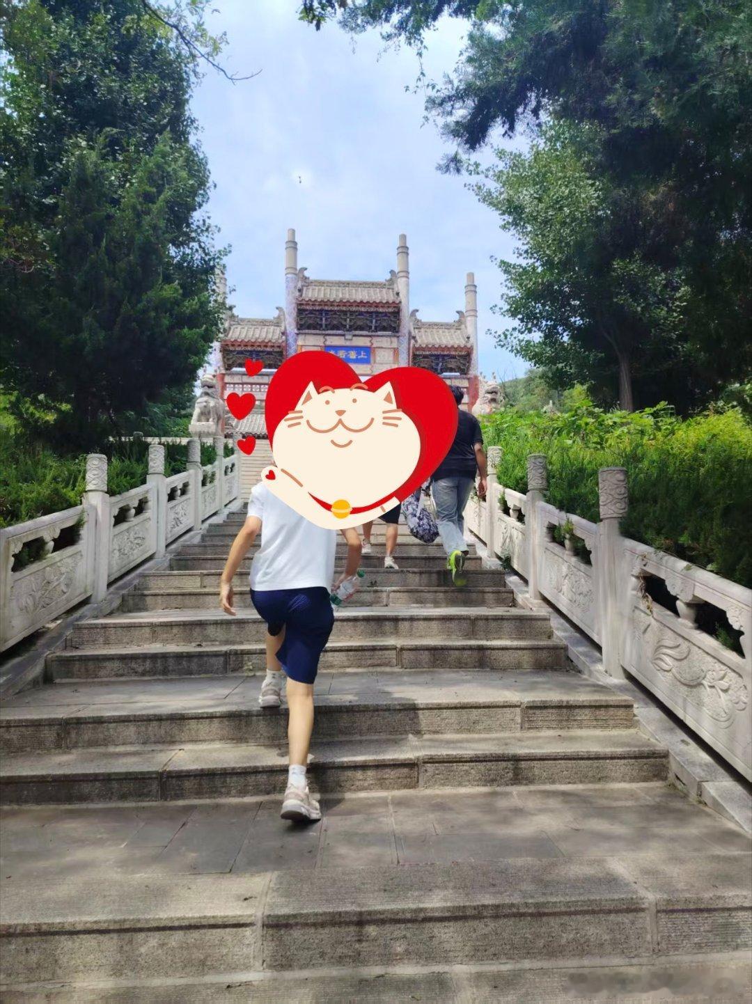 鲁中天然氧吧，漫行鹤伴山，满目青山，一身清欢，虽然晒了点，但仍乐在其中 