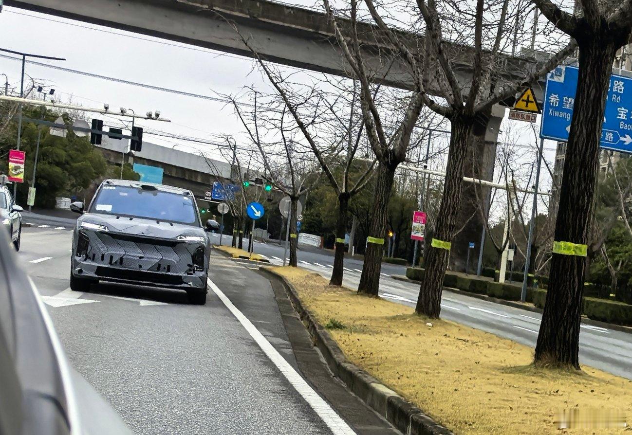 这特征足够明显了吧？一看就知道是什么车。又是一个9系，一月份看过了。 