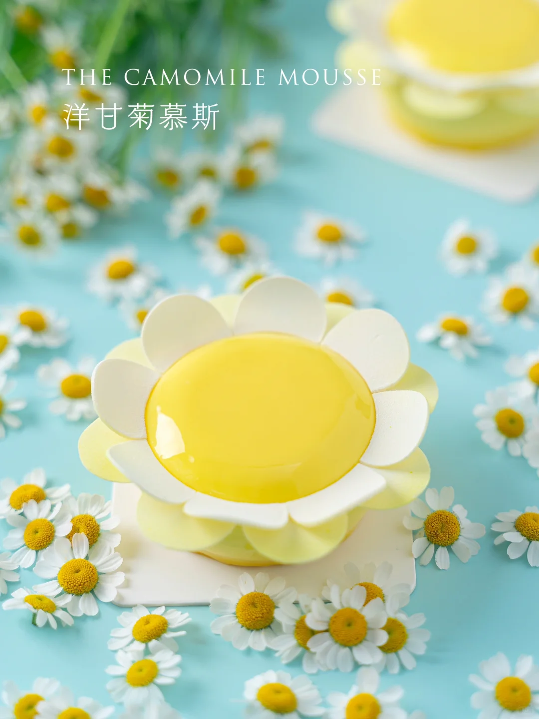 小清新的春日洋甘菊慕斯