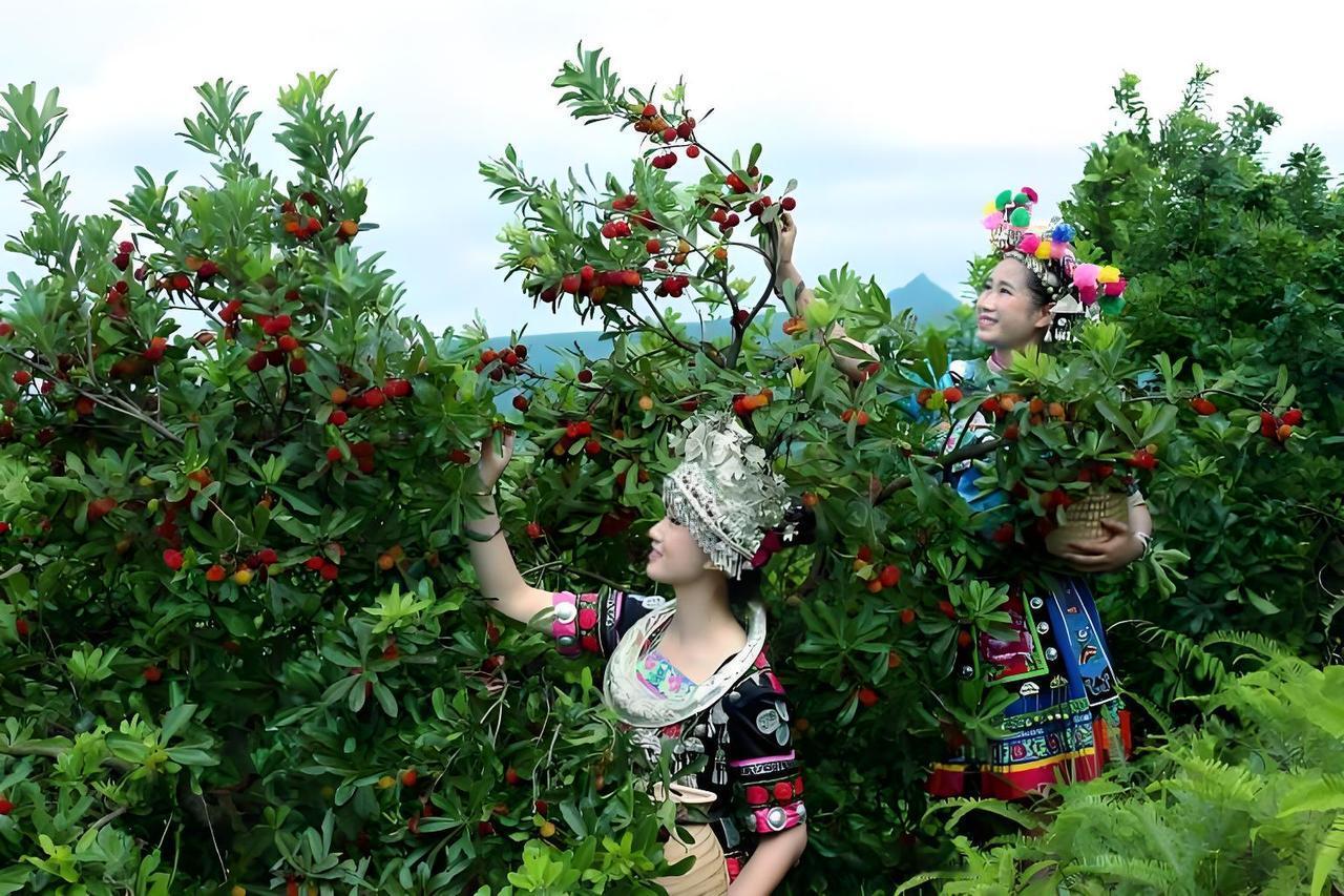 我是一名游泳教练，也是土生土长的靖州人。今天，我站在抖音「家乡荣耀季」的赛场，想