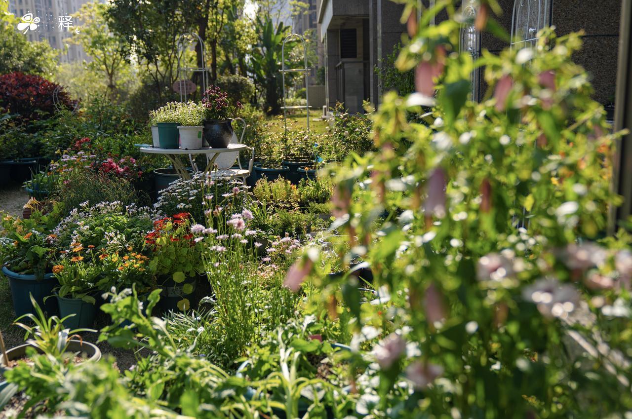 可以在鹤岗养花，但是不能在鬼城生活
如今鹤岗化越来越严重，有点刹不住车。坐标福州