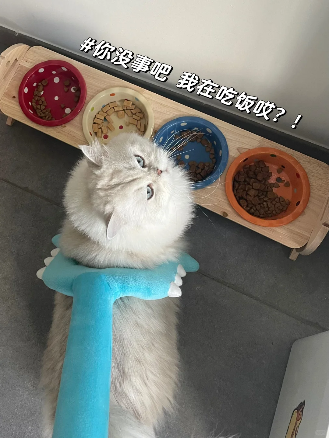 糯糯：你这就有一点不礼貌了