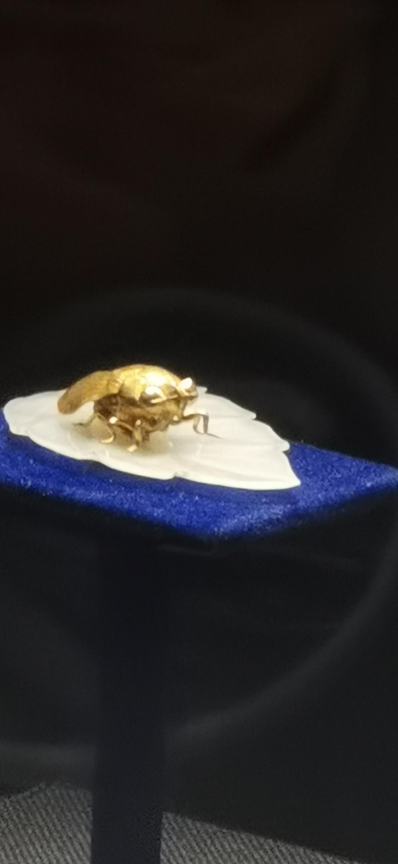 西宁周围还没有加油的司机朋友们，抓紧去加油，历史最高位油价即将到来。从昨天下午开