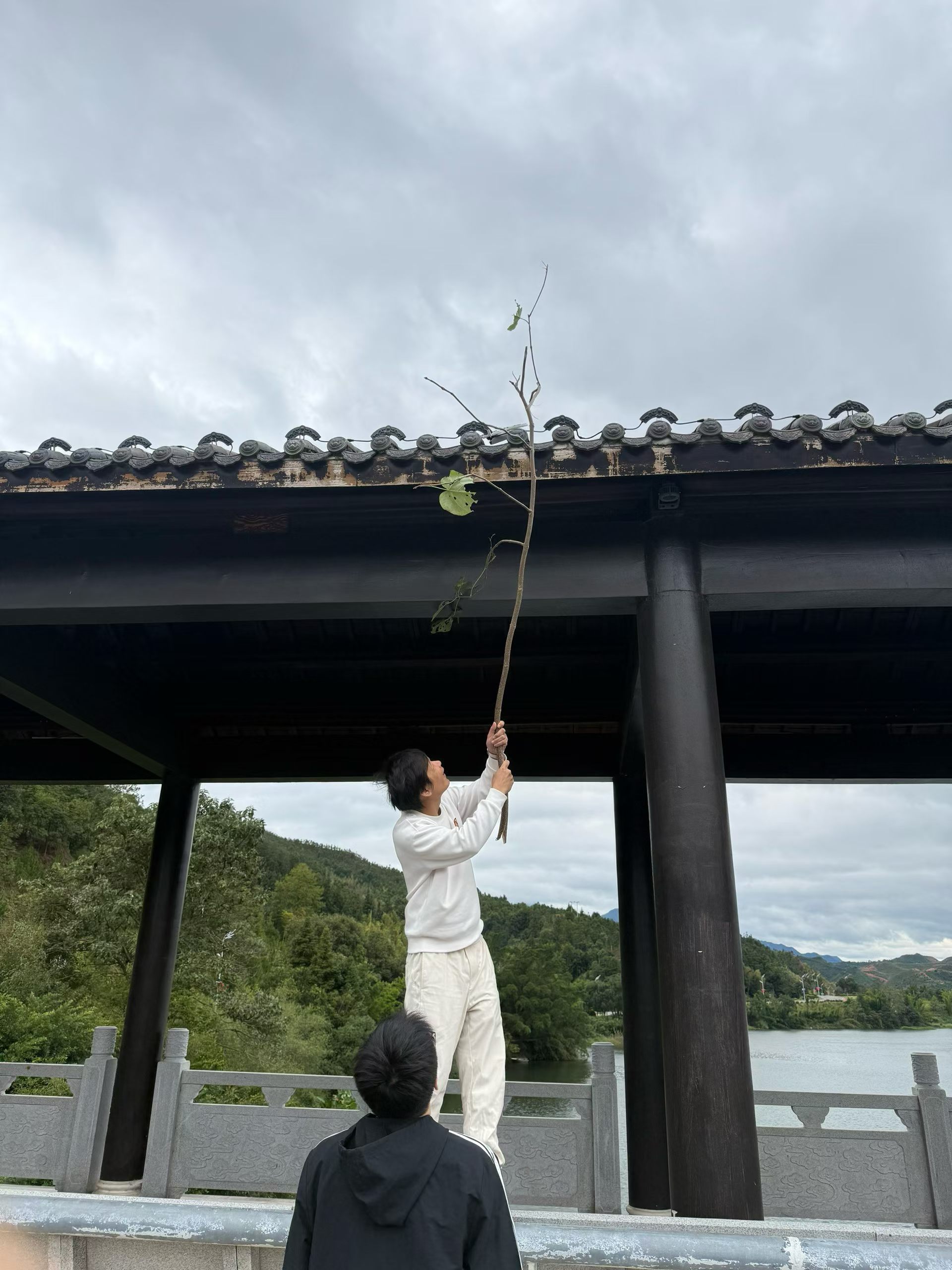 坏消息，无人机飞屋顶了[苦涩]好消息，用树枝勾下来了[笑cry] ​​​