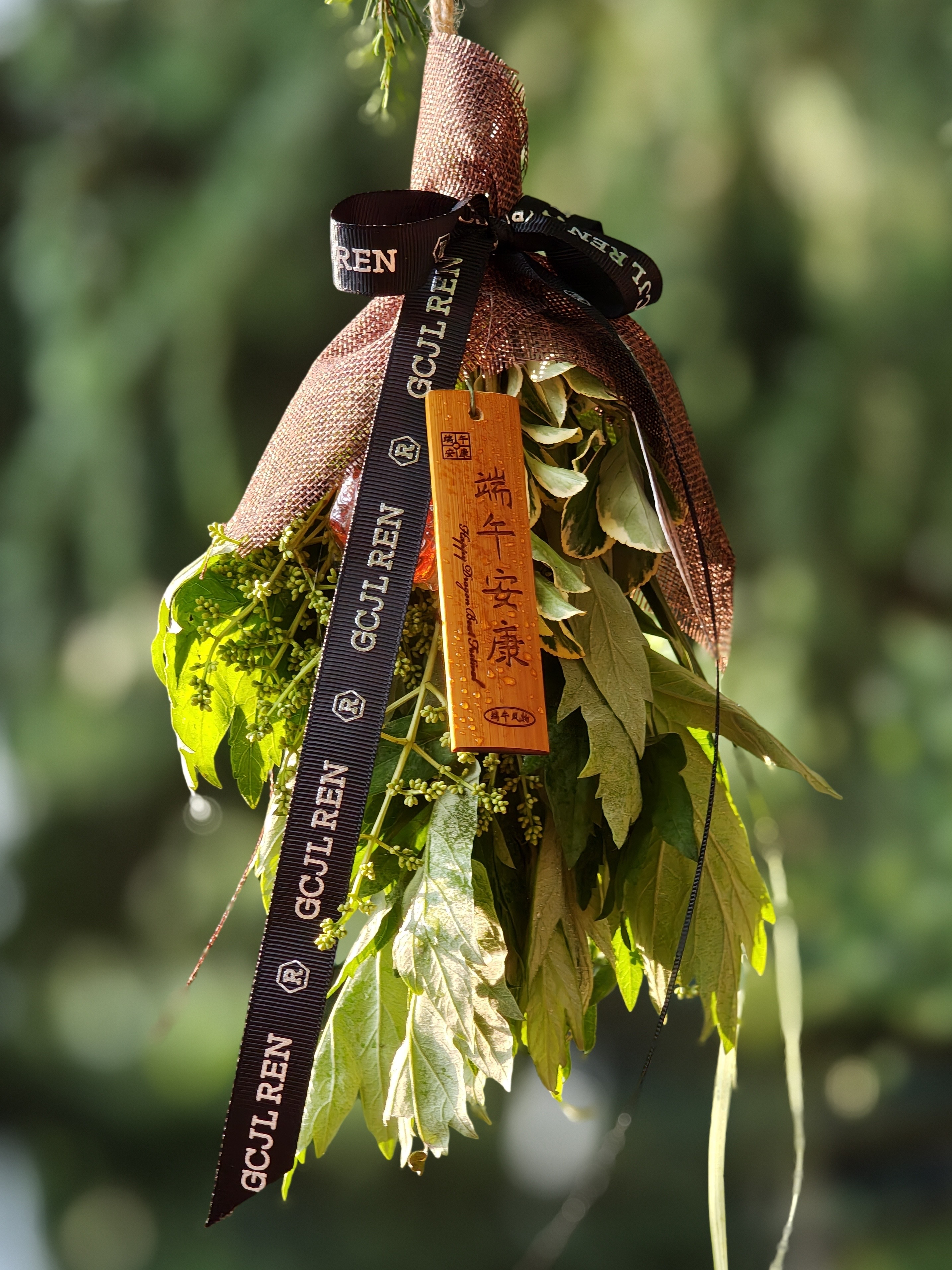 红房子｜绿意、棒棒糖、端午安康🎋🎋端午节·安康🐉人生变化多"端"，也不过"