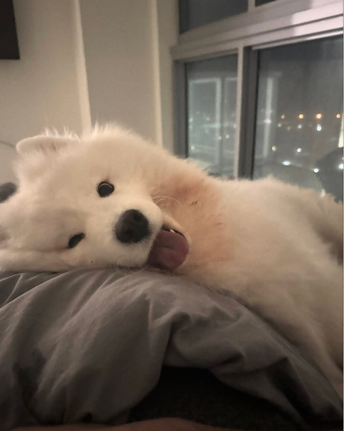 晚安耶 
