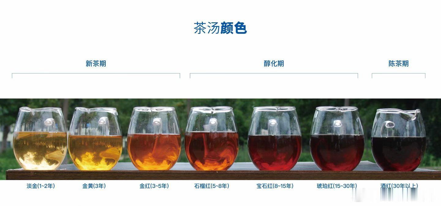 2025年桃源春水品种优秀，产品稳定价格稳定，转化有样本存茶有预期 