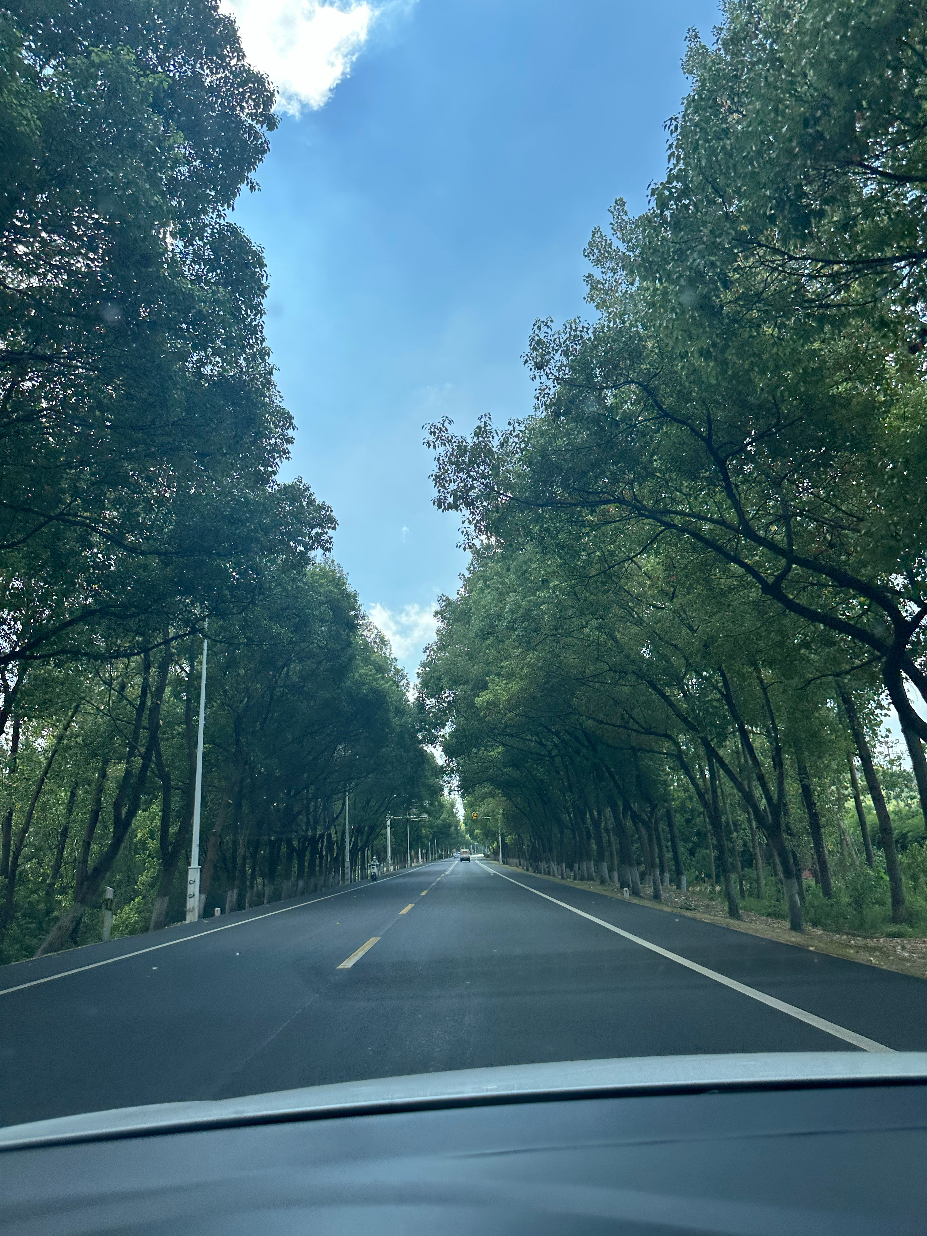 车变成了烤箱[融化]这种酷暑天，开了小200公里，上烤下凉，已经变成木得感情的开
