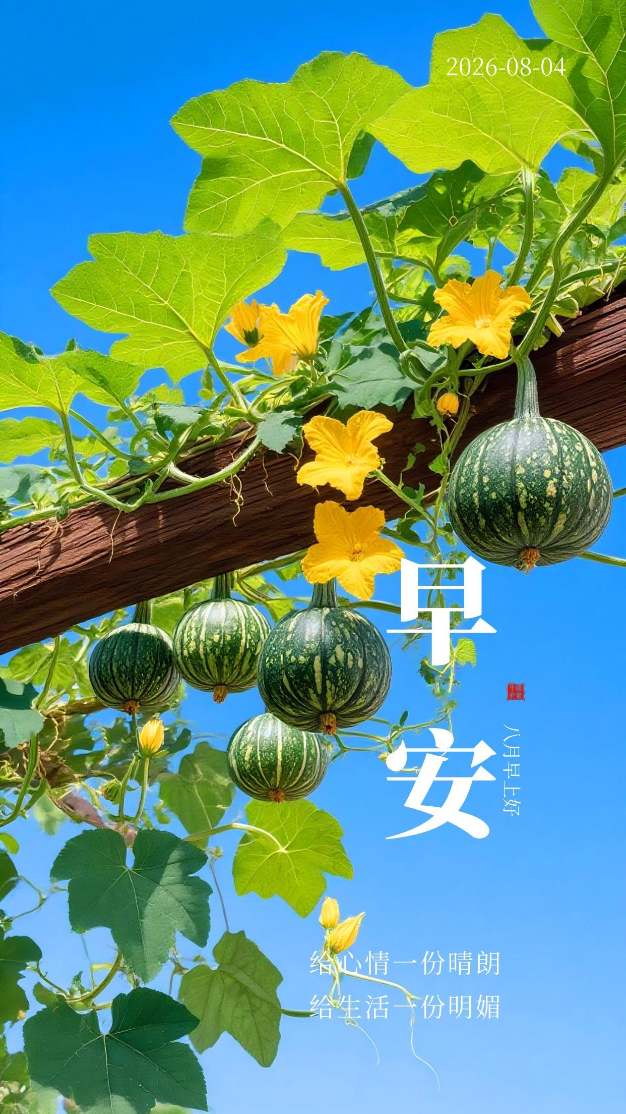 2026.8.4周二早安祝福海报壁纸拿图吱一声噢～ 