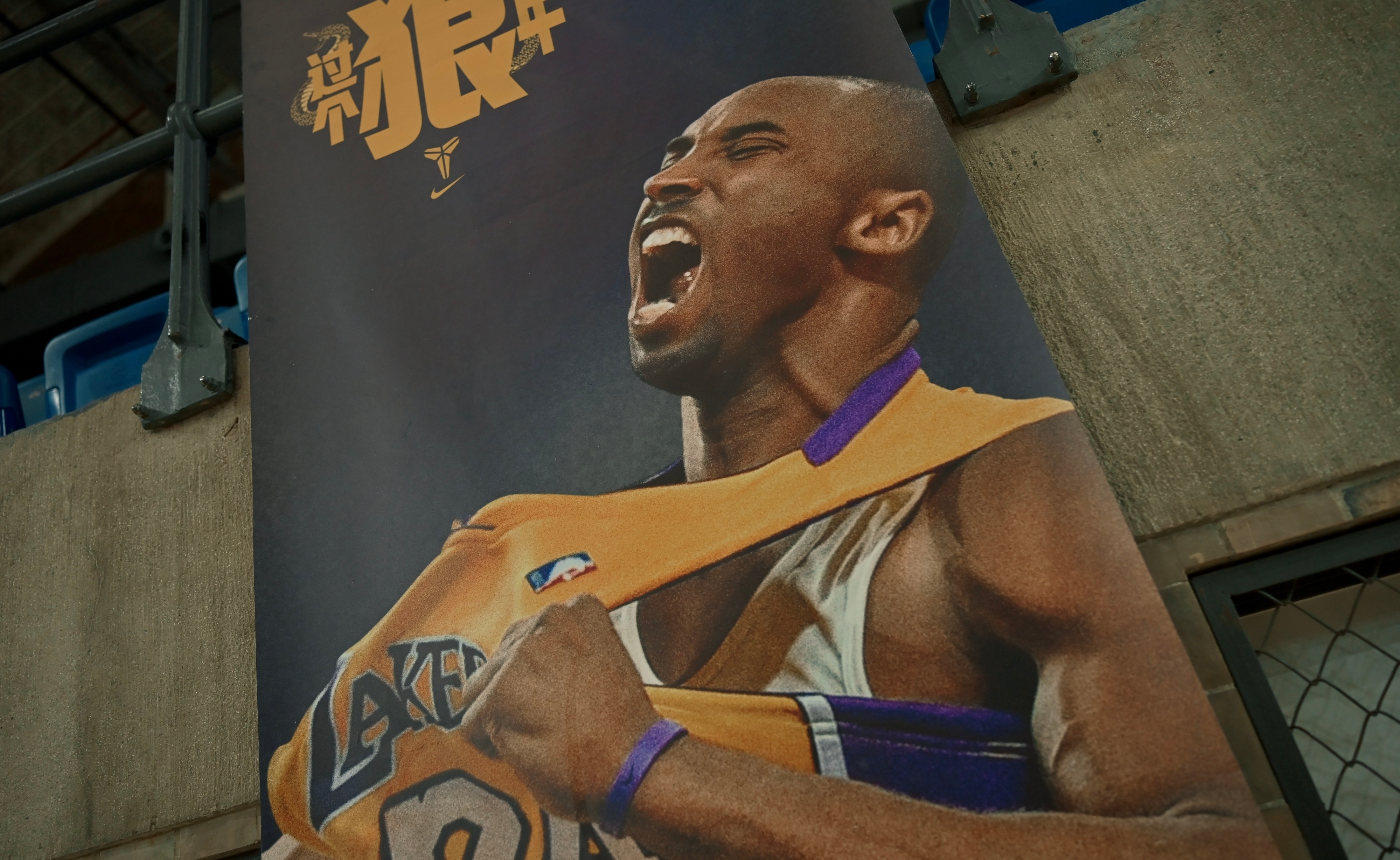 这个地方上次来叫曼巴球馆科比黑曼巴 上海·江湾体育中心综合体育馆