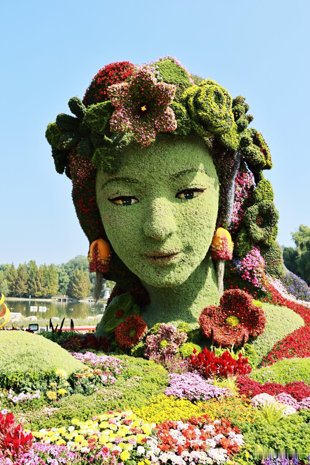 北京国际鲜花港的花