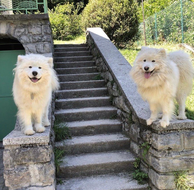 小区里新来的保安耶耶：嘿嘿，这份工作好轻松耶，还可以聊天嘿嘿嘿嘿嘿 