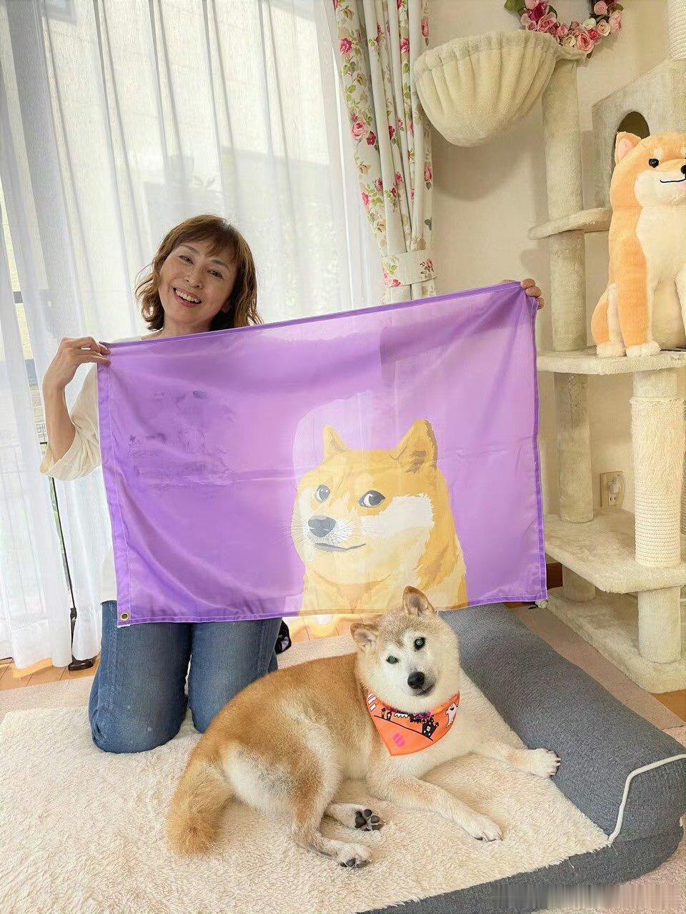 #Doge永远留在了18岁# Doge原型柴犬[doge]Kabosu已于今早去