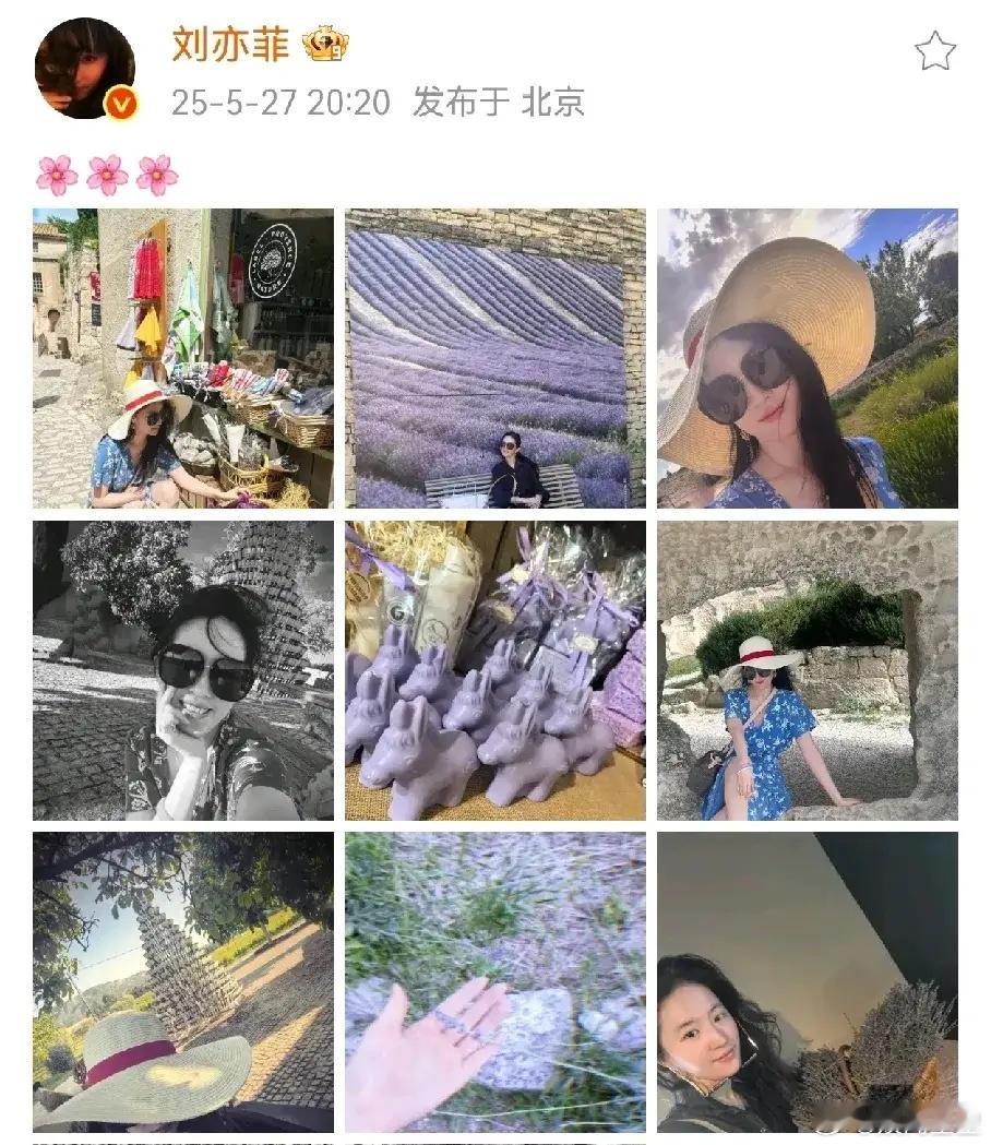 全网都在猜测刘亦菲会不会拿白玉兰的时候，她直接去旅游了，奖不奖的没有自己开心重要