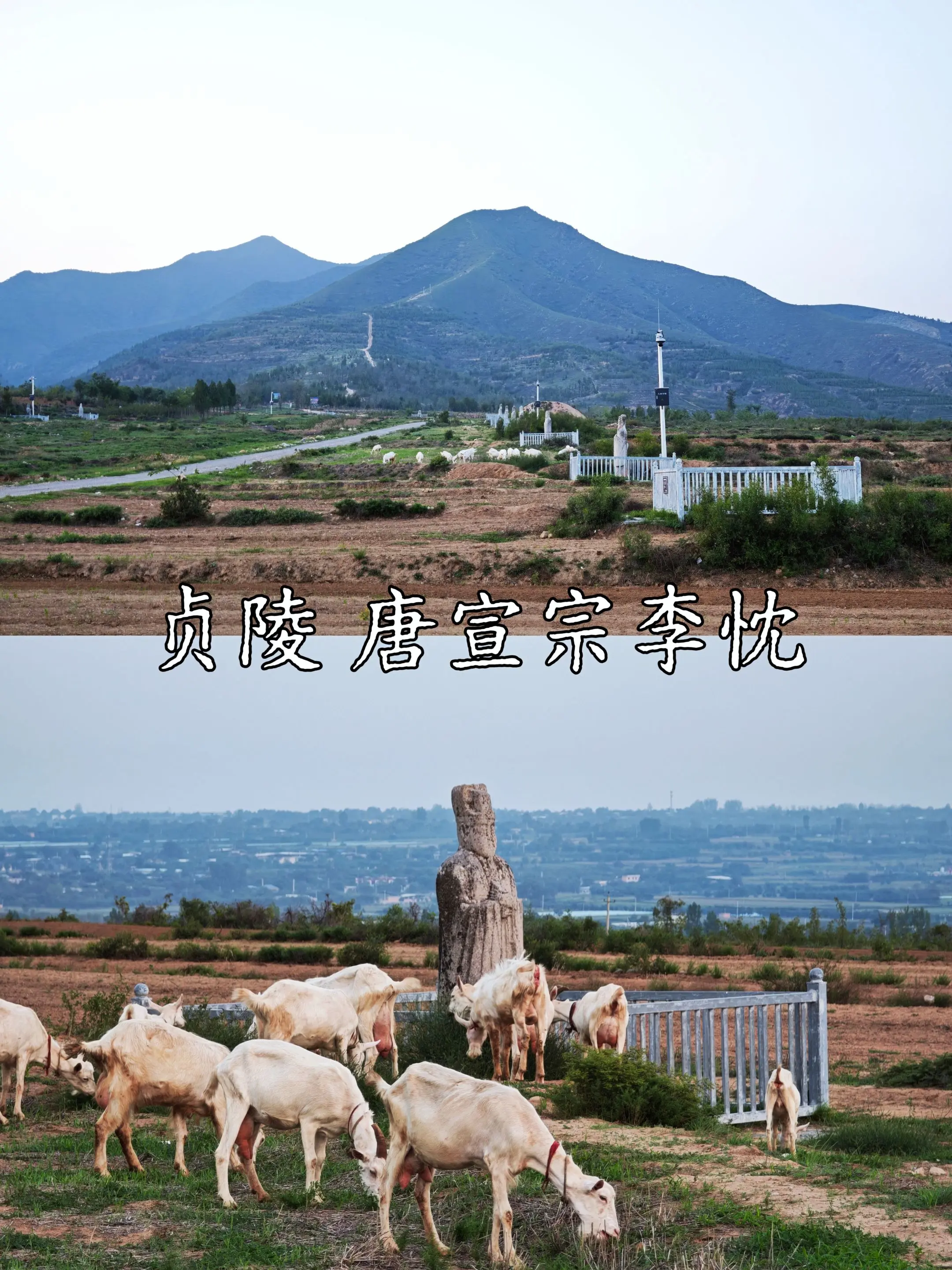 唐宣宗贞陵神道石刻欣赏，晚唐作品也很强！唐帝陵神道石刻是中国古代陵墓艺...