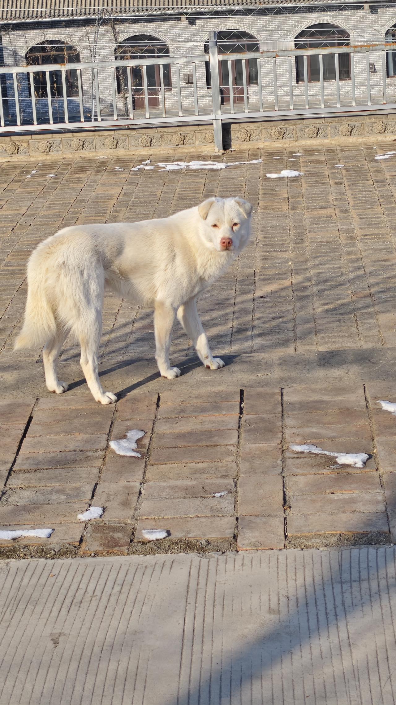 分享一张你拍的动物照片