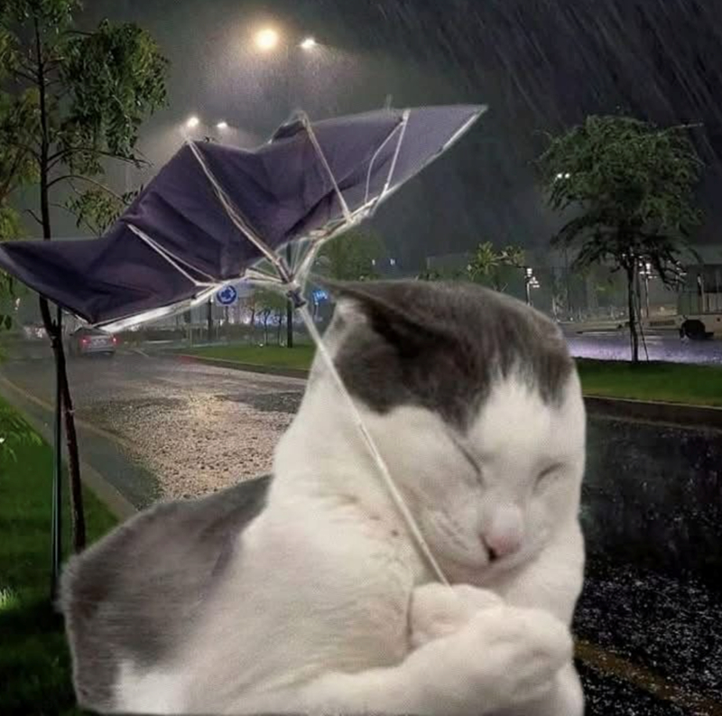 . ​​​