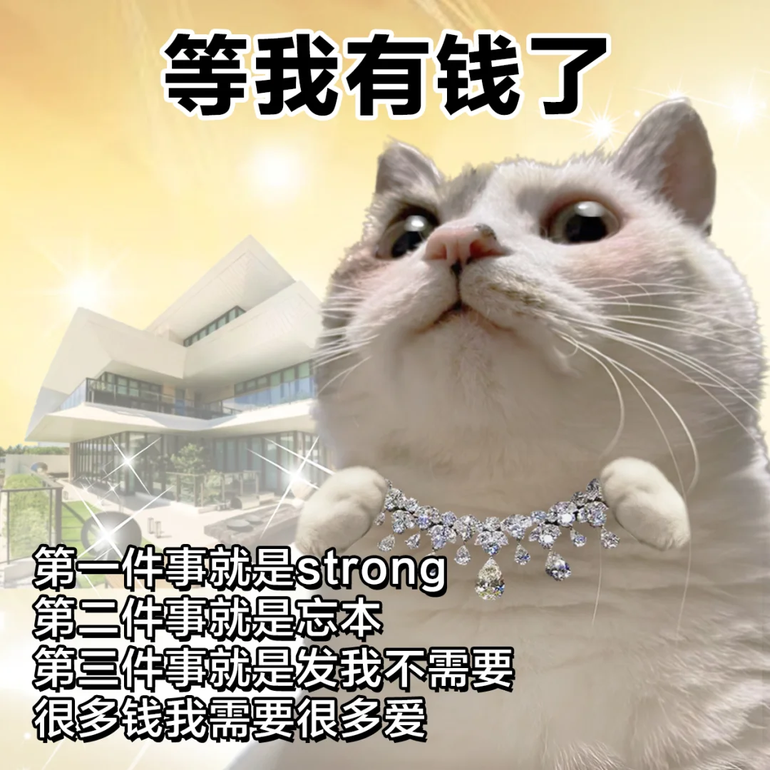 表情包 | 计划有了，钱呢