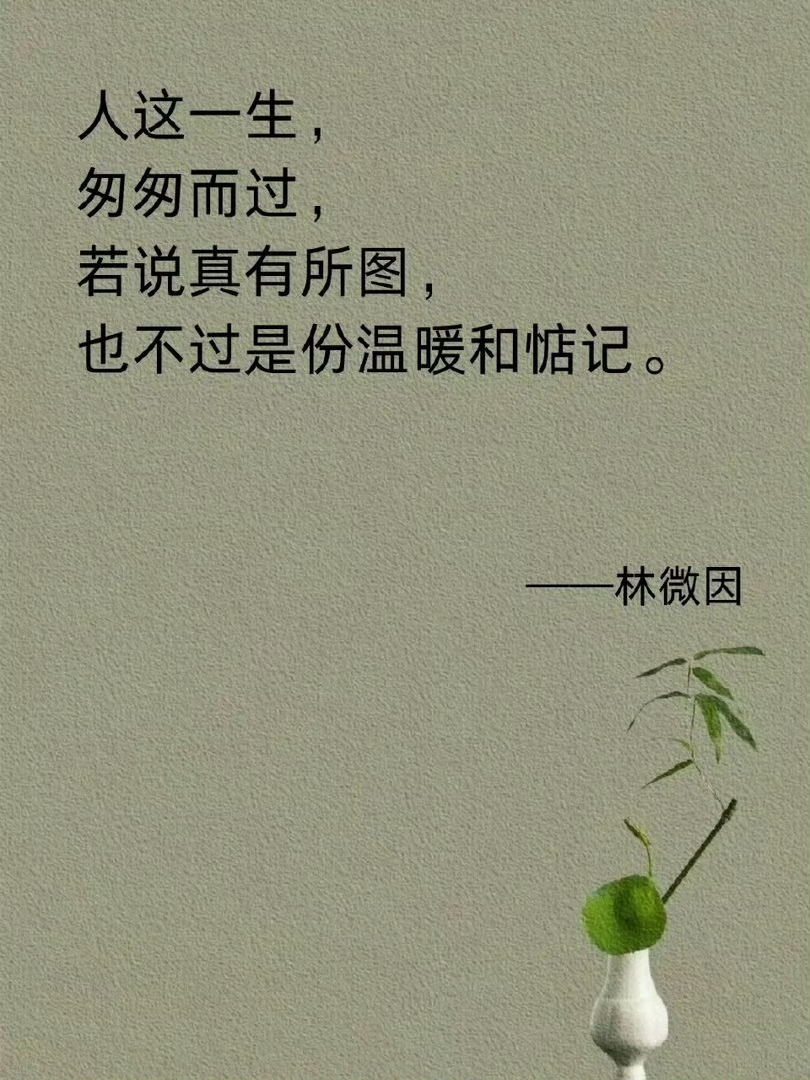 林徽因顶级温暖名言，温柔且清醒 