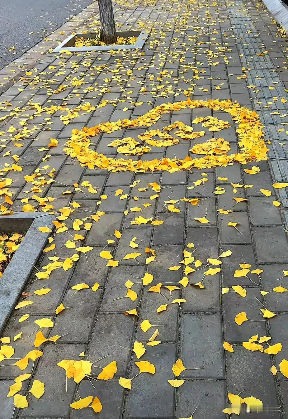 🧡🍂 ⸝⸝ 

“ 是逐渐变浓的秋. ”，
落叶知秋秋更凉，落叶知秋秋已尽～